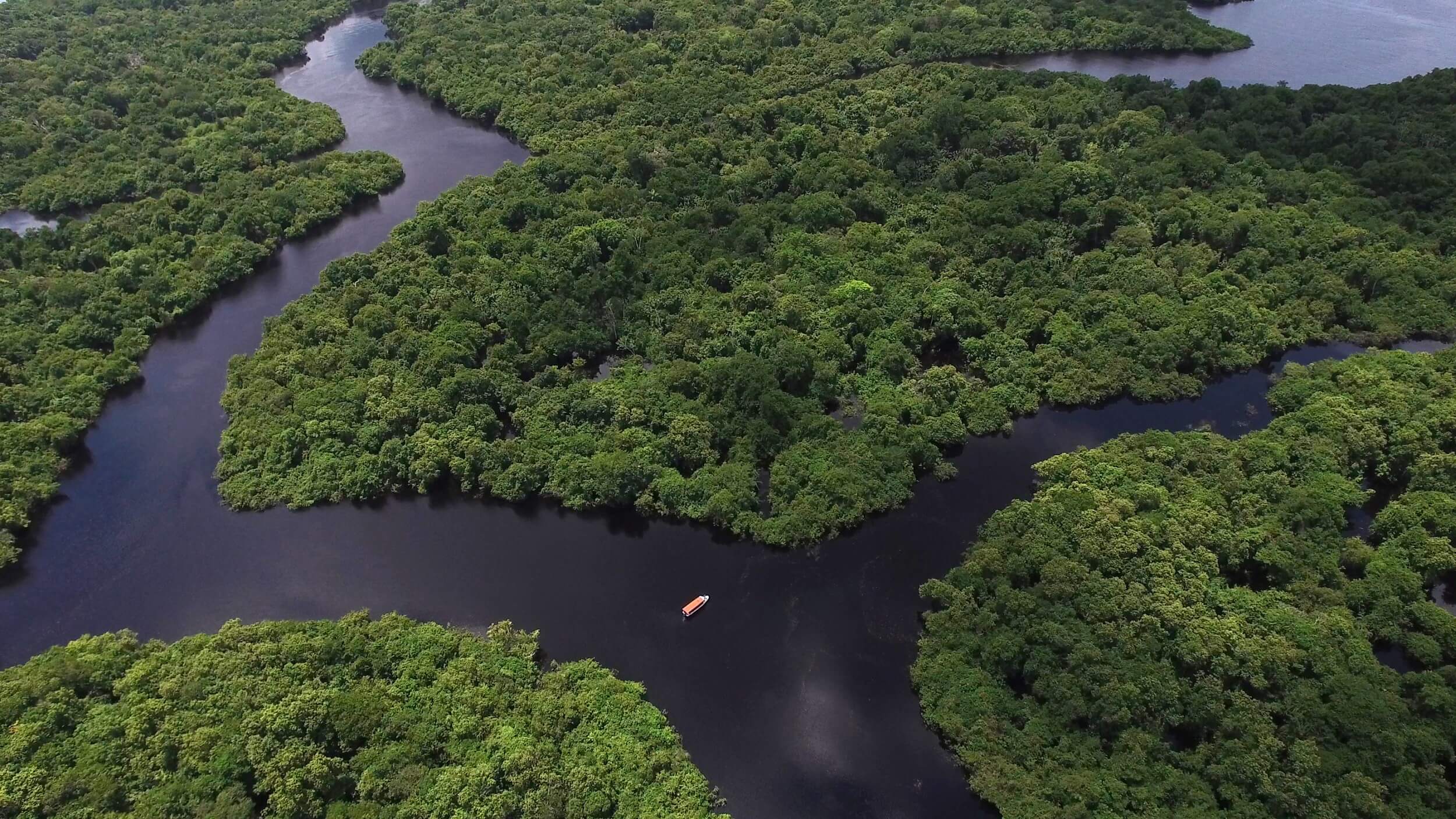 Amazônica