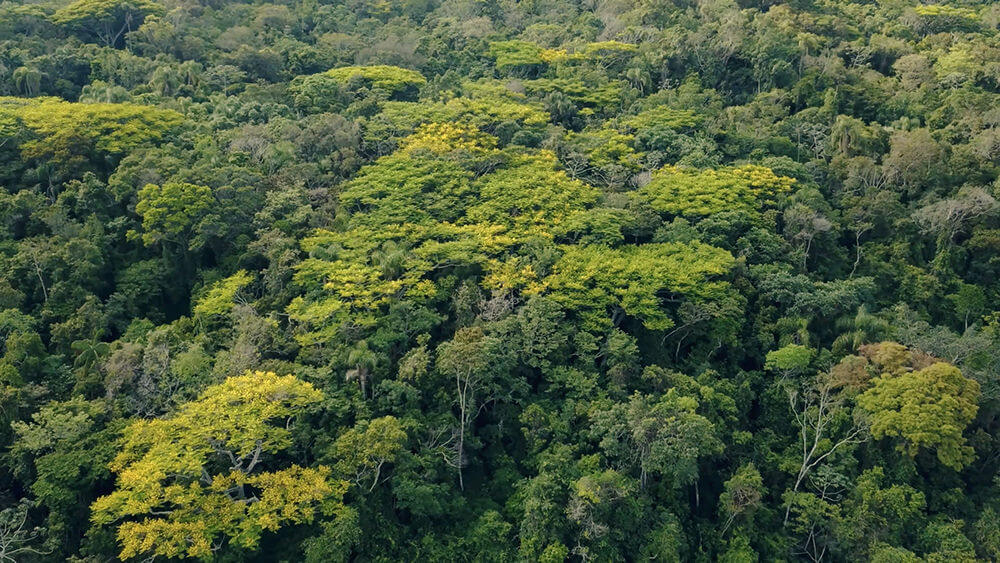 Atlântica